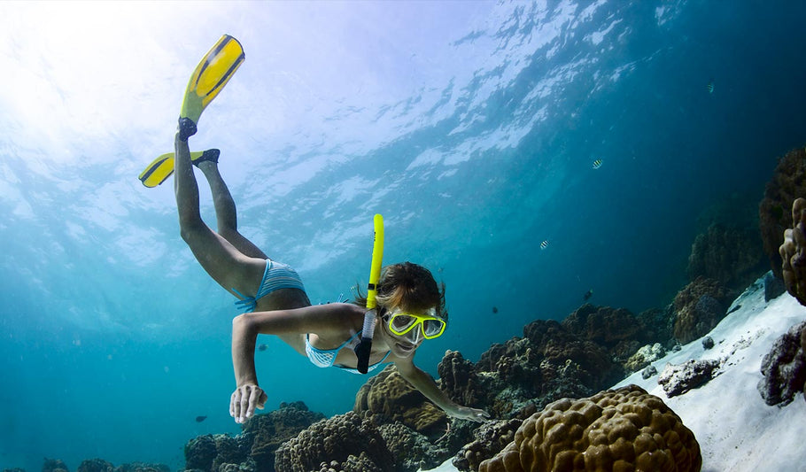 The Difference Between Scuba Fins and Snorkel Fins